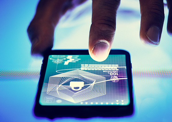 Hamilton Horizons Digital Security